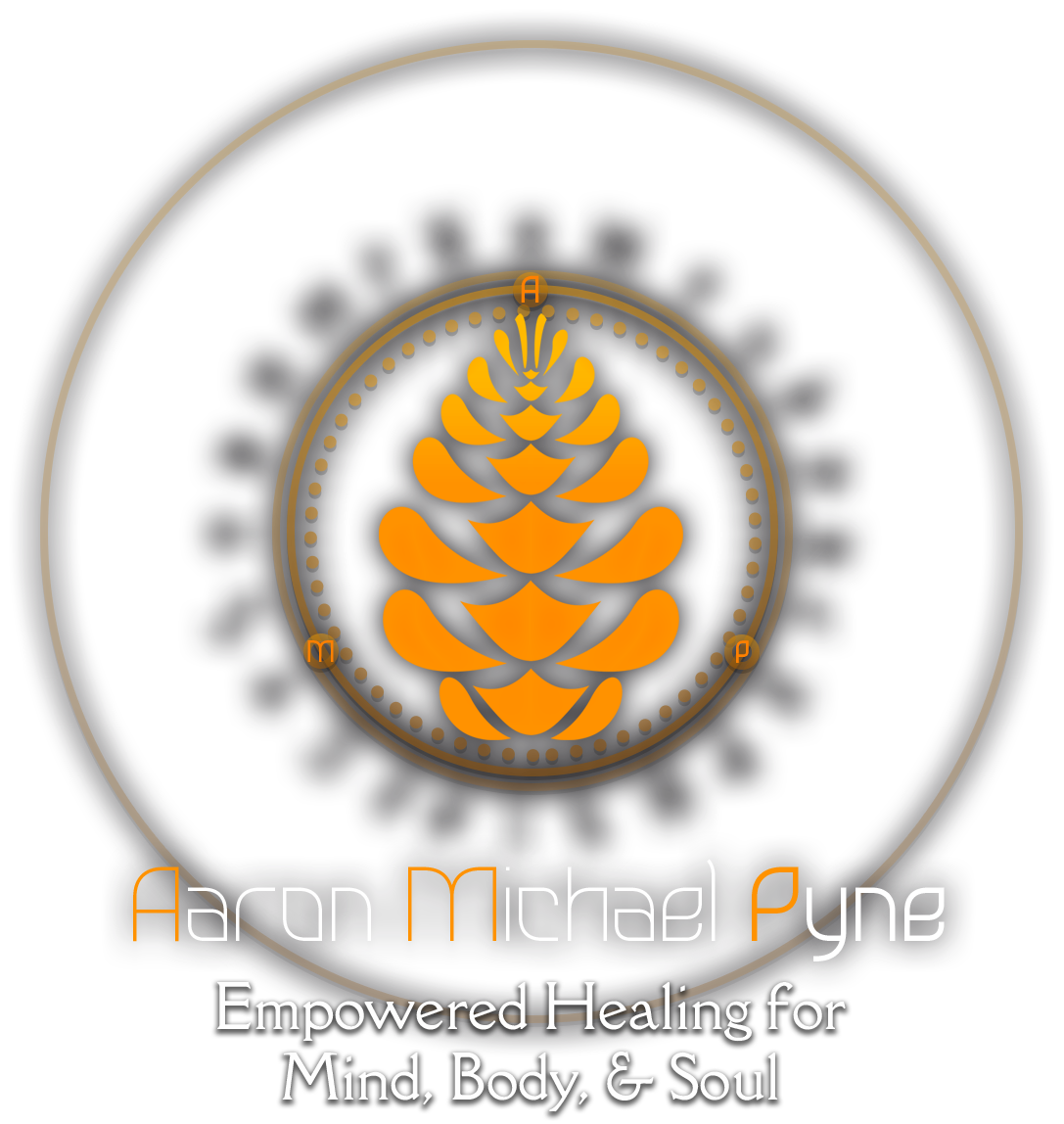 Aaron Michael Pyne - AMPlify Your Potential