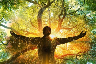 Tree of Life Meditation & Healing