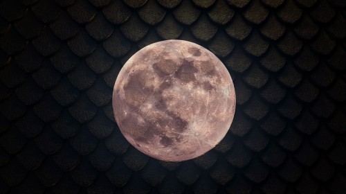 Dragon Leadership Activation- The Full Moon Unfoolery